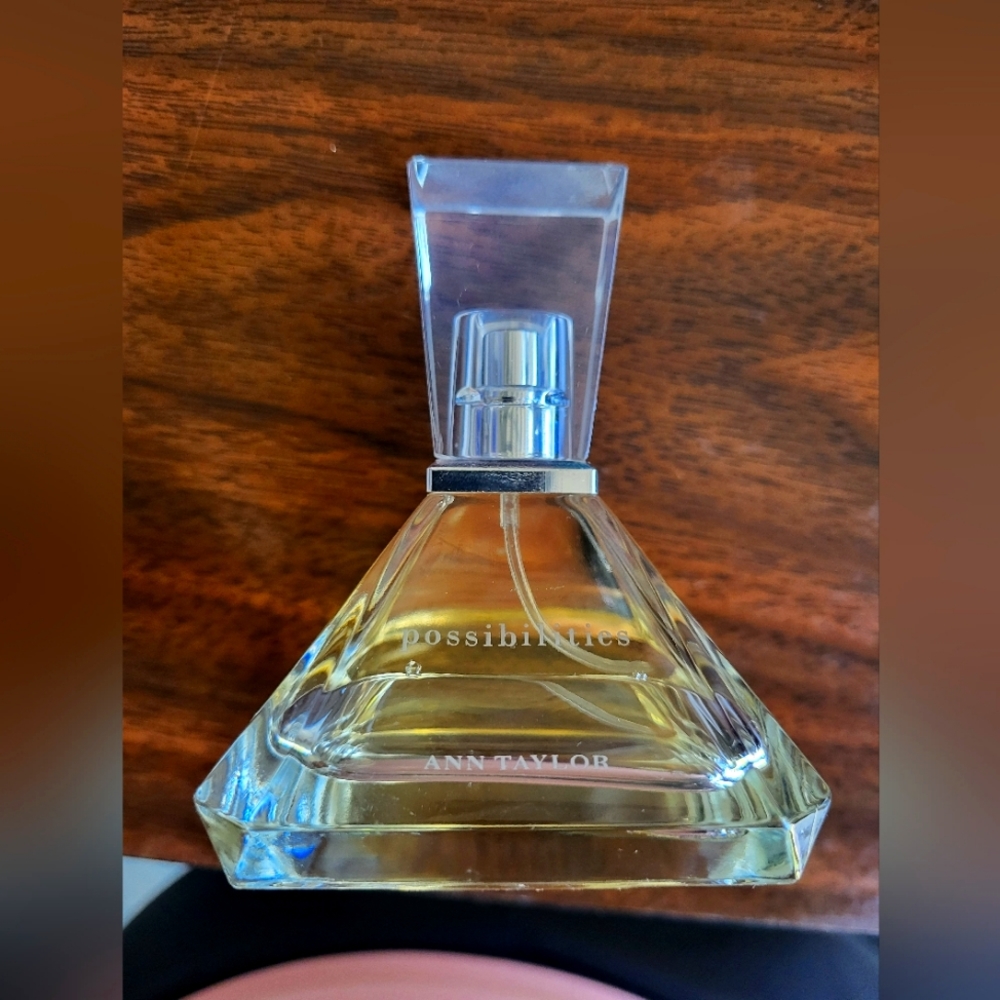 Ann Taylor Possibilities
